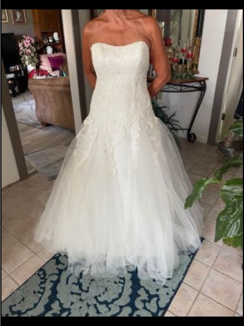 David's Bridal Ivory Tulle Gown